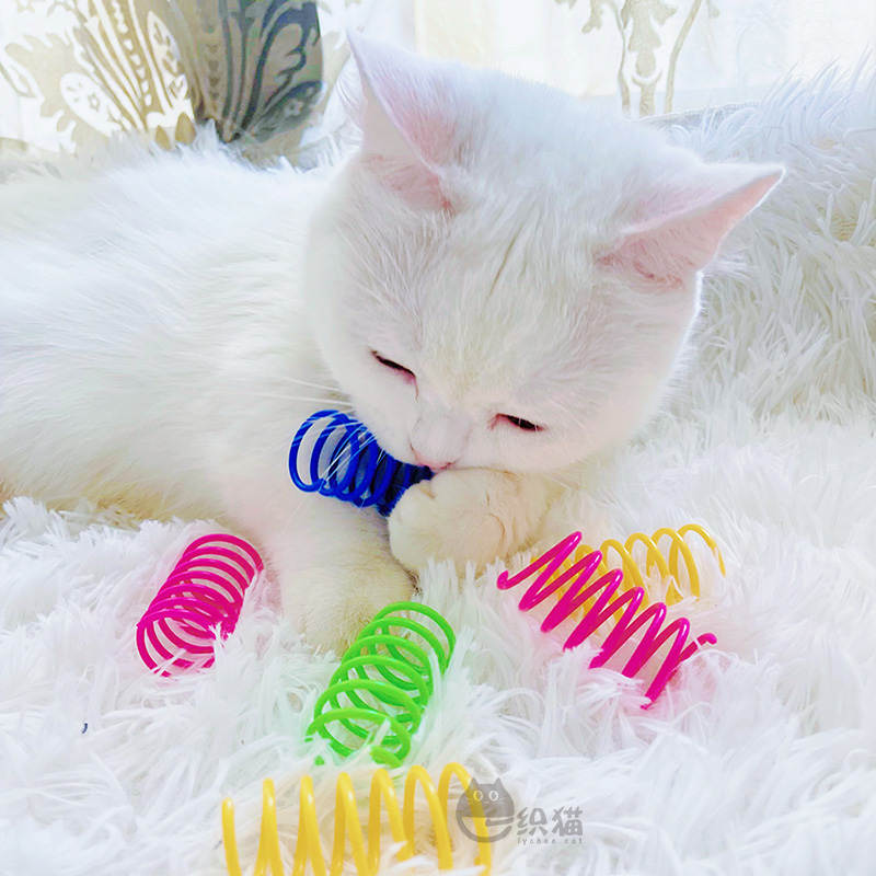 YIWEI CAT COLOURFUL SPRING BOUNCE CAT TOY ̰  Ǯ ̰   ֵ ϴ ȭ Դϴ.