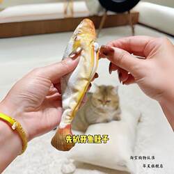 Realistic Jumping Fish Cat Toy for Self-Entertainment, Electric Cat Teaser Stick, Scratch-Resistant Plush Toy Doll to Expend Energy