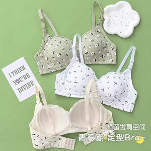 
Thin rimless underwear for students in high school development period, college students, junior high school students, girls with small breasts, push-up bras for women
