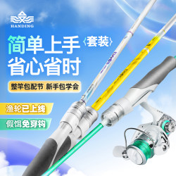 Hanging Rod Lure Set 2Nd Generation Fishing Rod for Beginners, Micro Lure Rod, Sea Fishing Rod, Complete Fishing Rod Set