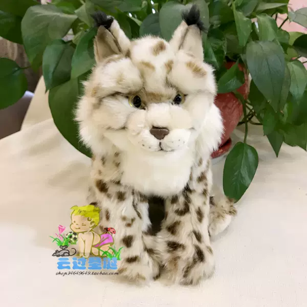 毛绒玩具缅因猫猞猁薮猫野生动物仿真动物可爱毛
