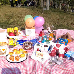Instagram-Style Girly Autumn and Spring Outing Picnic Cloth, Outdoor Trendy Tablecloth Mat, Fresh Pastoral Checkered Dining Tablecloth Mat