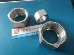 Hydraulic ferrule nut NL/NS joint