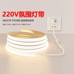 Cob Light Strip Led Light Strip 220V Plug-In Ambient Light Strip Soft Light Eye Protection Curtain Box Living Room Ceiling Waterproof Self-Adhesive