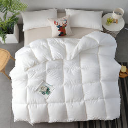 Quilt, Winter Quilt Core, Thickened and Warm, Space-Themed, for Student Dormitory, Single or Double, Air-Conditioned, Spring and Autumn Quilt, All-Season Bedding