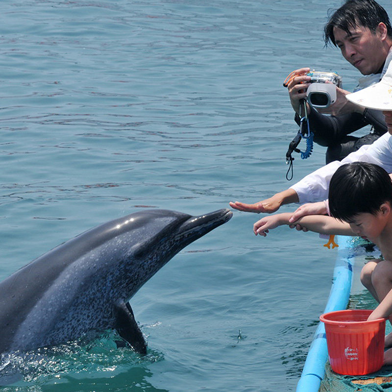 分界洲岛一日游纯玩接送潜水浮潜直升机香蕉船玻璃船海南三亚旅游