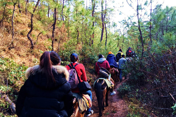 云南丽江旅游 拉市海茶马古道之旅深度游 美泉马场一日游品质纯玩