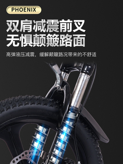 品質満点 Phoenix 子供用自転車 - 20インチ ディスクブレーキ マウンテン 自転車本体