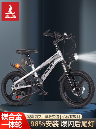 バイヤー厳選用品 Phoenix マウンテン ディスクブレーキ 20インチ - 子供用自転車 自転車本体