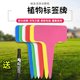 
Label gardening succulent identification flower green plant label plant name record waterproof plastic ground sign universal