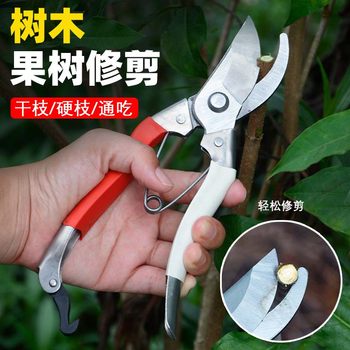 
High hardness pruning shears, fruit tree scissors, gardening labor-saving thick branch shears, branch pruning garden tools, flower art labor-saving scissors