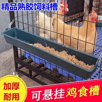 Fed the feed feed thickened chicken food trough pigeon groove