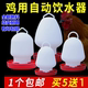 Breeding chicken drinking kettle poultry automatic water refueler material tank sink feed tank bucket water bucket duck goose pigeon water feeder
