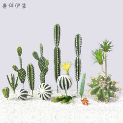 Cactus pillar ball store window decoration shot fake green plants
