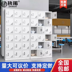 Multi-Compartment Locker for Canteen, Factory Worker Locker with Lock, Metal Storage Locker, Stainless Steel Locker, Employee Locker, Cutlery Cabinet