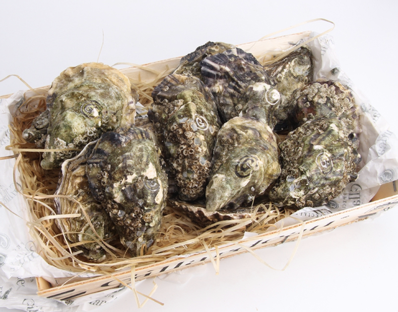 纯天然美味生蚝肉,健康美味营养丰富(图3) 纯天然美味生蚝肉,健康美味营养丰富(图3)