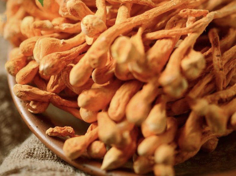 营养滋补虫草花,味道清爽鲜美(图1) 营养滋补虫草花,味道清爽鲜美(图1)