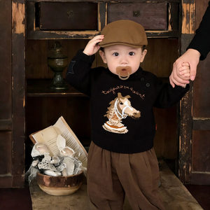 
Boys' Cute Sweater Category A Children's Suit Spring and Autumn Horse Baby Cartoon Sweater Baby Versatile Bloomers