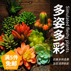 Tortoise lizard snake scorpion desert rainforest reptile breeding box hermit crab simulation succulent plant landscaping ornaments
