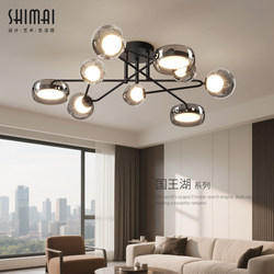 Living Room Lamp 2026 New Model Italian Style High-End Full-Spectrum Eye Protection Hall Main Light Zhongshan Lighting Fixtures Whole House Ceiling Light