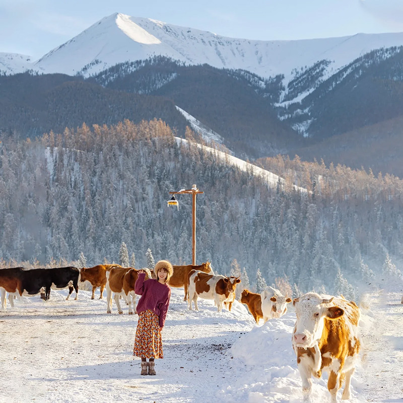 旅拍小团大七座商务车新疆旅游伊犁赛里木湖纯玩7天6晚跟团游