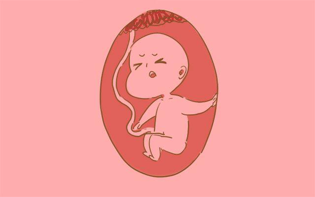 胎儿这种胎动是打嗝，孕妈知道吗5