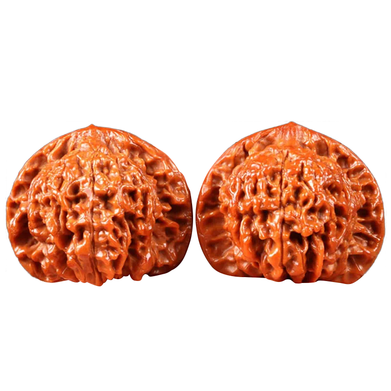 文玩核桃 原树吸血鬼官帽 32mm 東京文玩育成】文玩核桃 原樹吸血鬼官帽 32x31x43mm 文玩核桃