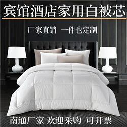 Hotel Air-Conditioning Summer Cool Quilt Home All Year Round Spring & Fall Quilt Core Feather Silk Cotton Enlarged and Thickeneded to Heattech Single and Double