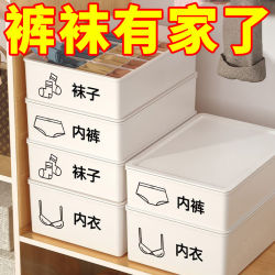 Underwear Storage Box, Socks and Underwear Storage Drawer-Style Compartmentalized Large-Capacity Home Dormitory Essential Compartmentalized Storage Box