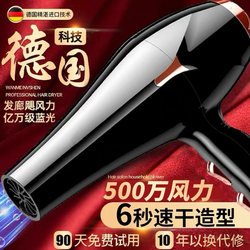 German Hair Dryer for Home Use, High Wind Power, Suitable for Hair Salons and Barbershops, 9800W Negative Ion Hair Care, High-Power Quick-Drying Barrel