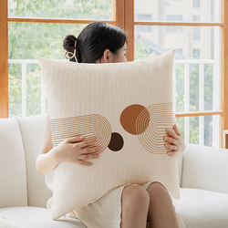 Beautiful Living Room Sofa Throw Pillows, Cream Style Cushions, Light Luxury High-End Large Pillows Without Inserts, Pillowcases, Headboard Lumbar Support