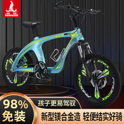 Phoenix Magnesium Alloy Children's Bicycle for Older Boys and Girls Aged 8-12, 20inch Speed Model, Elementary School Student Mountain Bike