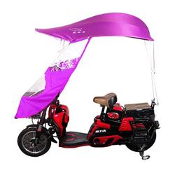 Wind and Rain Boat Pedal Electric Vehicle Bicycle Parasol Motorcycle Women's Awning Rain Canopy Awning Purple