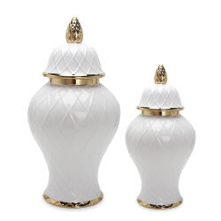 Chinese style creative Nordic ceramics Phnom rim general jar vase flower inserts crafts soft decorations storage decorations