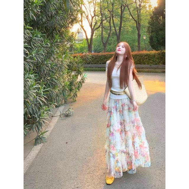 
QIAN French retro elastic waist floral mesh skirt 2025 new fashionable and beautiful vacation cake skirt