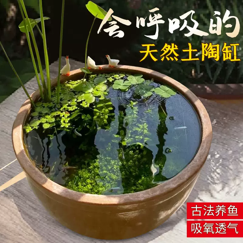 大型戶外陶瓷荷花缸庭院睡蓮專用金魚缸花盆