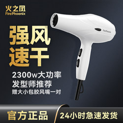 Fire Phoenix Hair Dryer for Home Use, High-Power, Professional Hair Salon Hairdryer, Strong Wind, Quick-Drying Blow Dryer
