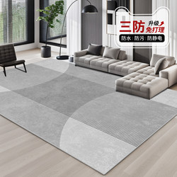 Carpet for Living Room 2025 New Model, Washable and Wipeable, Light Luxury, High-End Feel, Modern and Simple, Home Sofa Floor Mat, Coffee Table Rug