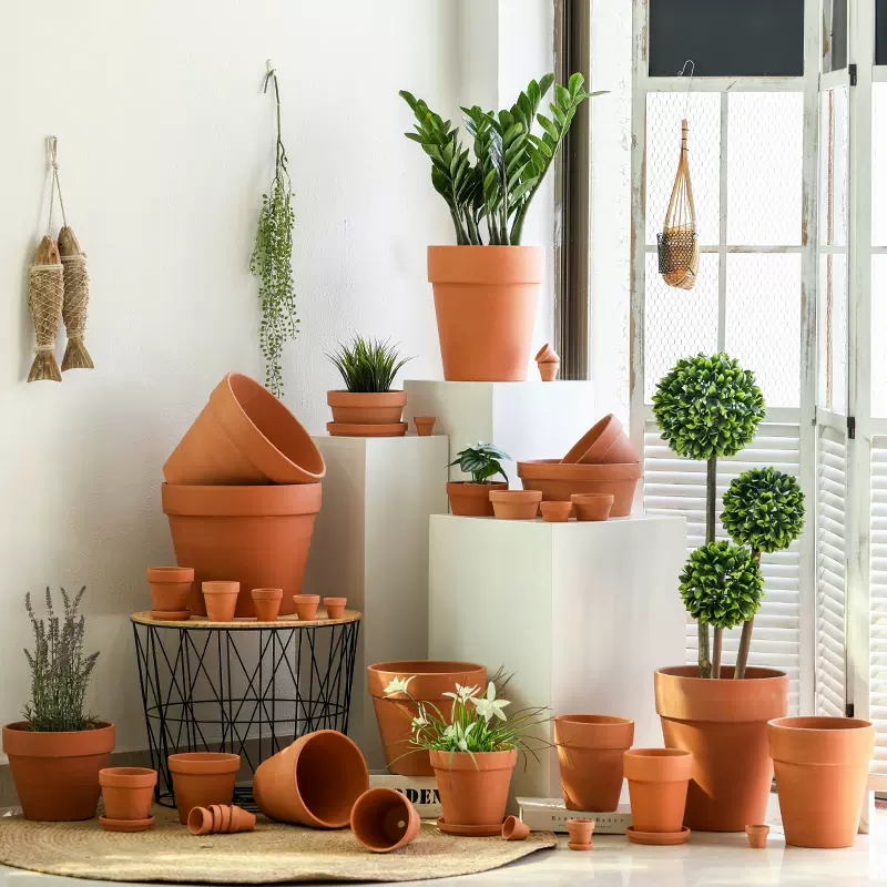 紅陶花盆國際款圓形陶土盆多肉育苗透氣陶瓷盆