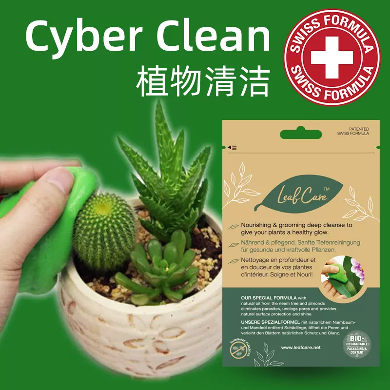 Cyber Clean多肉仙人掌球清洁植物叶子害虫绿植灰尘清理软胶泥