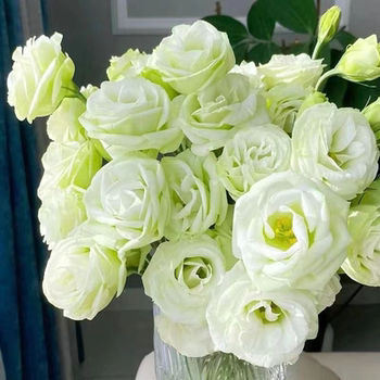Platycodon flower arrangement, Yunnan flowers, Dounan flowers, bouquet base, water to raise household foreign stalks, platycodon flowers
