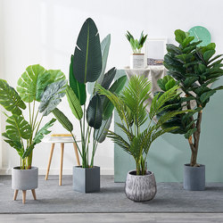 Artificial Tree Plants, Bionic Green Plants, Potted Ornaments, Traveler's Banana, Indoor Decoration, Landscaping, Clothing Store Arrangement, Areca Palm