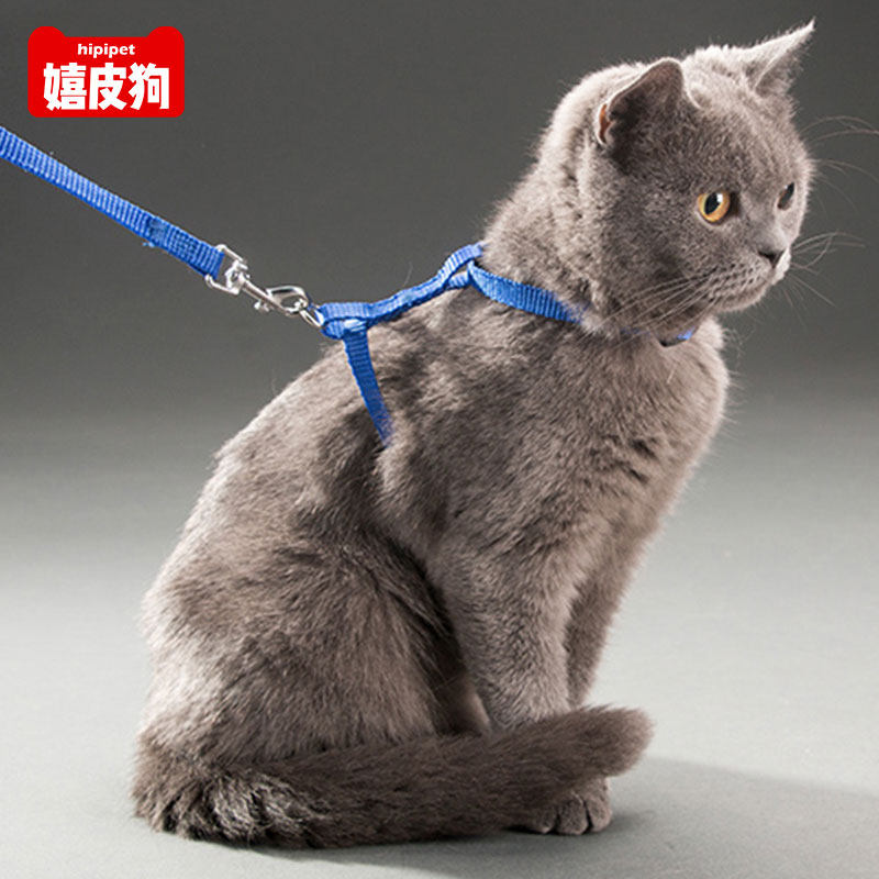 Cat Traction Rope, Cat Rope, Adjustable, Special Cat Traction, Anti ...