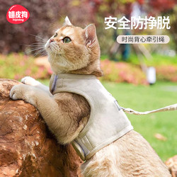 Reflection at night, cats go out to prevent breaking away