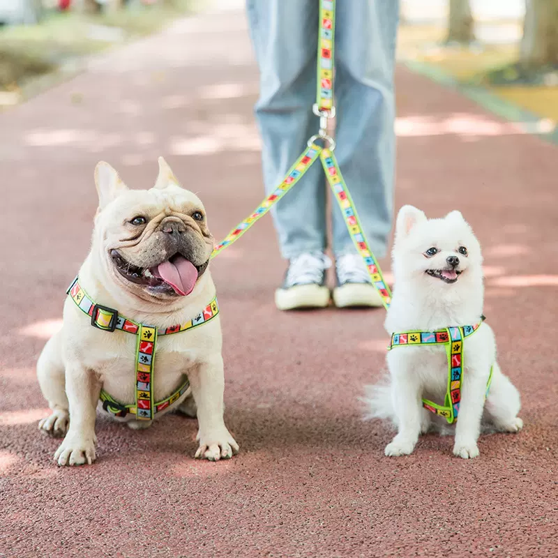 双头贴花狗狗牵引绳狗链子金毛泰迪狗绳小型犬