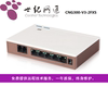 CENTURY NETCOM CNG300-V3- 2FXS 4FXS  Ʈ ũž 2-4 Ʈ Ƴα  Ʈ-