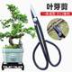 Leaf bud scissors, bonsai orchid bud splitting scissors, grape picking special potted vegetables and fruits pruning twig bud scissors