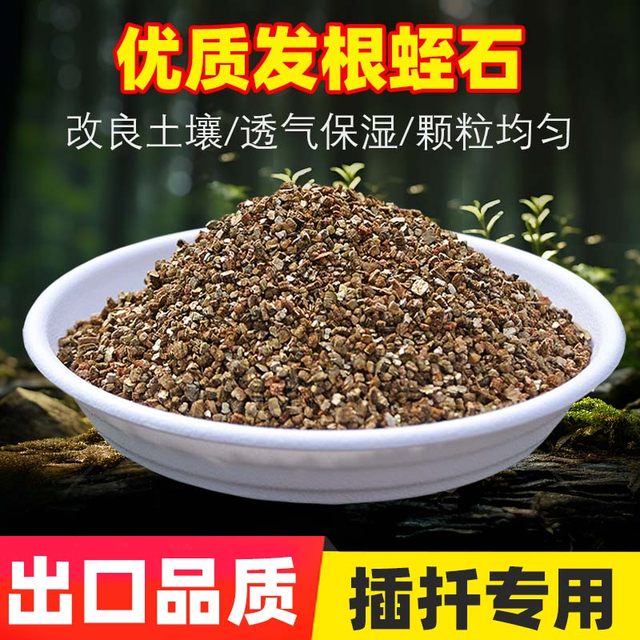 Horticulture Vermiculite Perlite Succulents with rose cuttings sowing leaves and roots for seedlings and seedlings and turtle hatching
