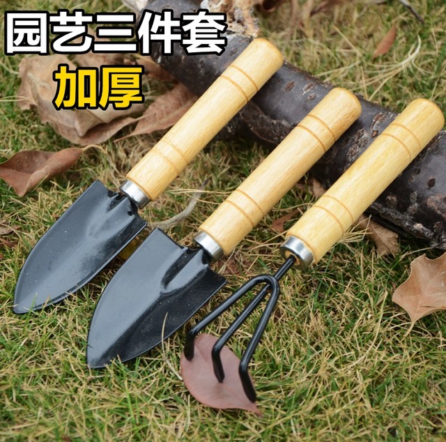 Three-piece gardening tool set, succulent planting and flowering tools ...