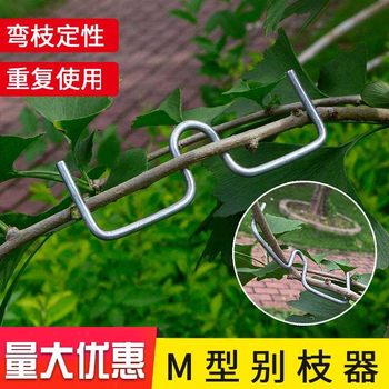 M-type branch pulling tool fruit tree branch pulling tool branch pulling tool s branch pressing bend branch shape branch pulling tool fixed branch pulling tool fixed
